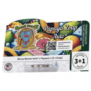 Papaya Zoap Auto. Photo 3